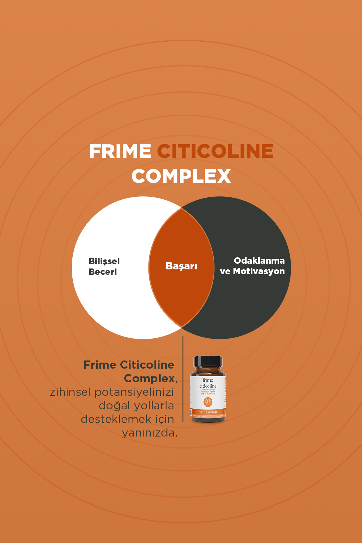 Focus, Enerji, Sitikolin, Rhodiola, Ginkgo Biloba, B12, L Theanine